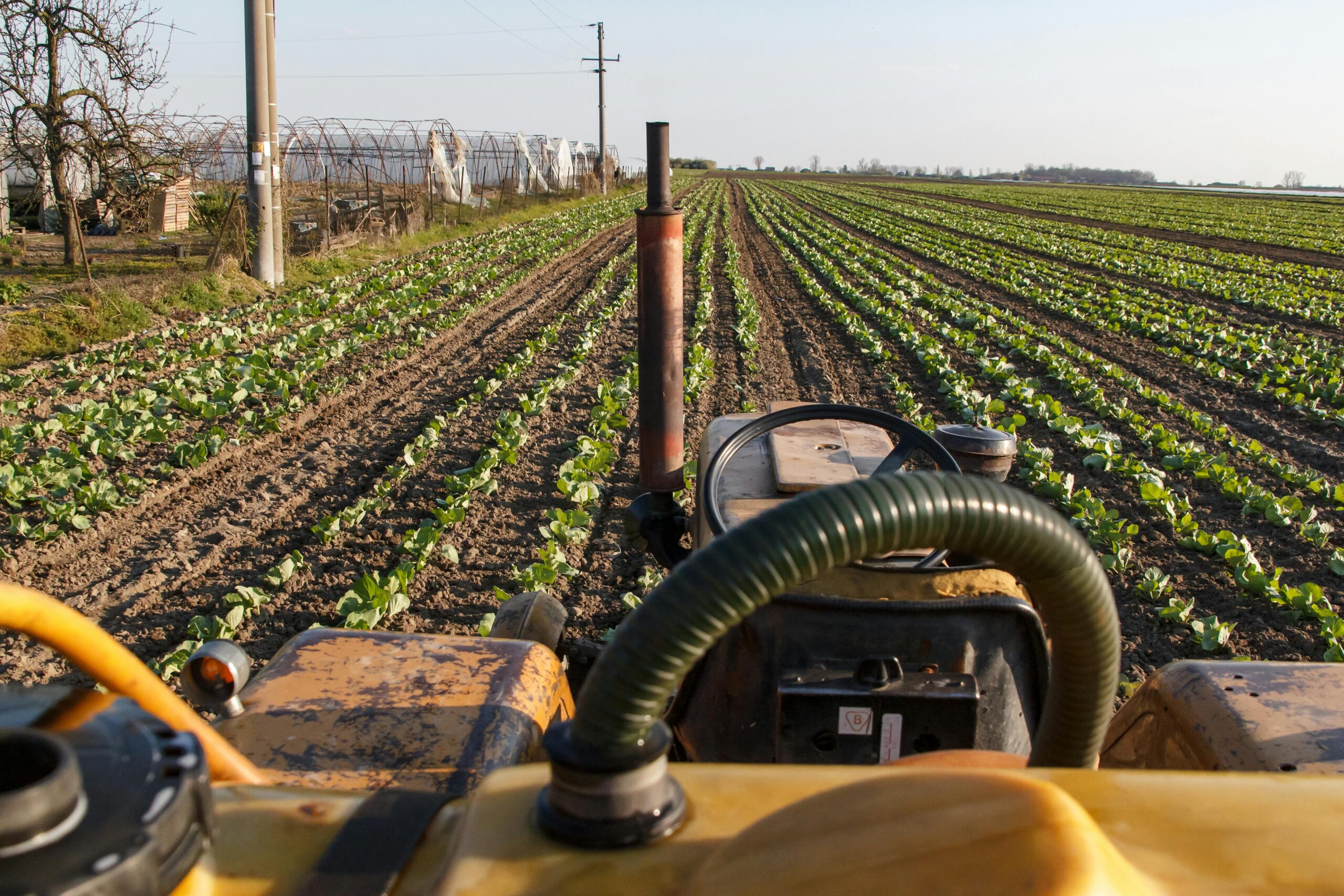 Sustainable Greek farm landscape